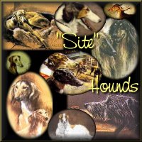 Join the `Site` Hounds WebRing!